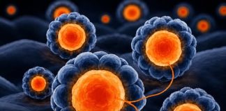 THE NEW BREAKTHROUGH IN VITAMIN D RESEARCH (HOW THIS COMMON NUTRIENT INFLUENCES HARMFUL CELL GROWTH)