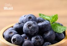 Frozen blueberries recalled in eight states after a dozen people are sickened with deadly bacteria