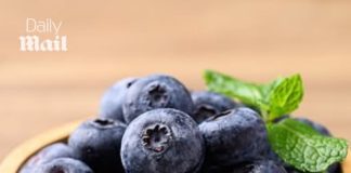 Frozen blueberries recalled in eight states after a dozen people are sickened with deadly bacteria