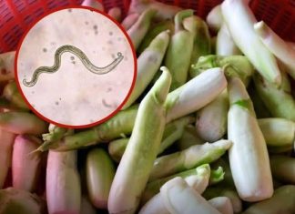Hidden Risks on Fresh Vegetables: How to Reduce the Chance of Contamination