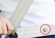 Little Button on Your Seat Belt