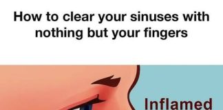 Whoa! So neat!.