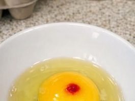 I just cracked an egg to make breakfast and saw this red spot in the yolk. It really grossed me out and now I’m wondering if I should toss the whole carton or just scoop it out and cook it anyway.