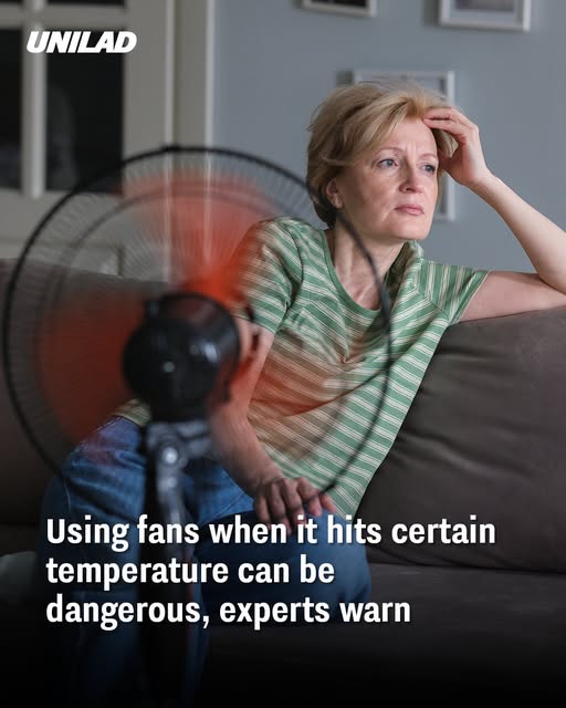fans