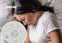 ‘Mystery’ parasite outbreak sparks health alarm across 17 US states as CDC tracks surging infections