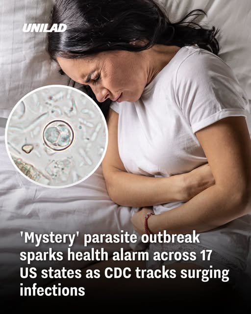 parasite