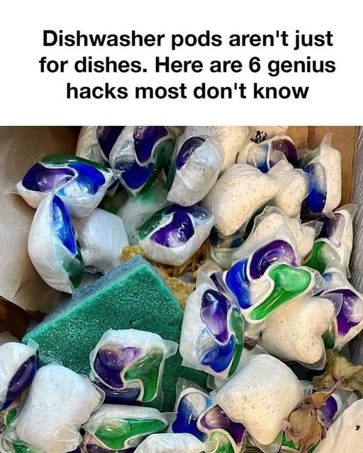pods