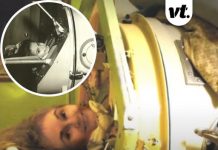 Last U.S. polio patient with an iron lung dies at 78 in Oklahoma as machine was too old to repair