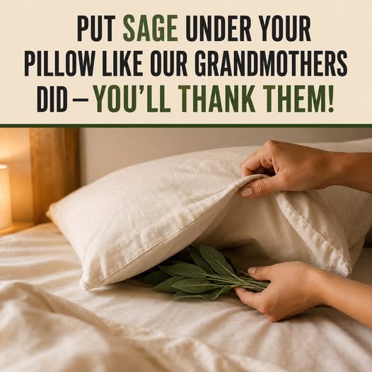 sage