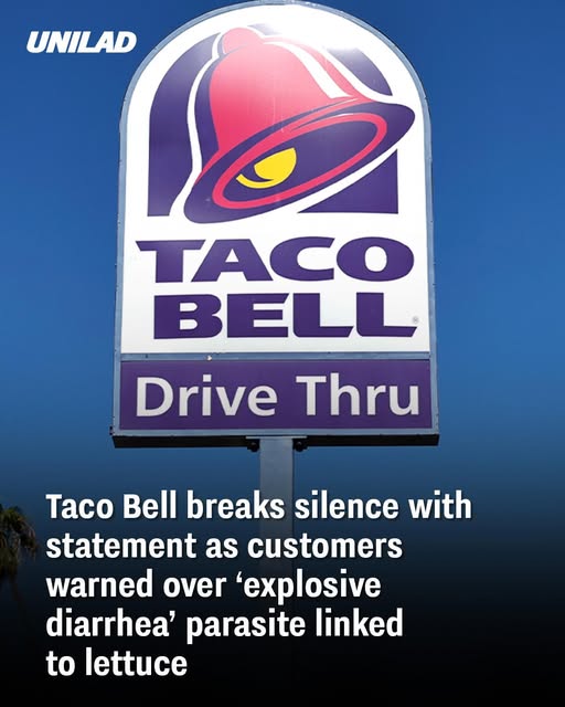 taco