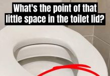 Have You Ever Wondered Why Public Restrooms Have U-Shaped Toilets?