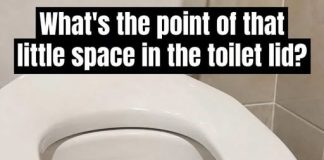 Have You Ever Wondered Why Public Restrooms Have U-Shaped Toilets?