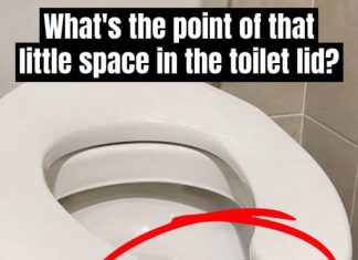 Have You Ever Wondered Why Public Restrooms Have U-Shaped Toilets?