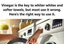 Vinegar: The Key to Whiter Whites and Softer Towels