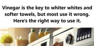Vinegar: The Key to Whiter Whites and Softer Towels