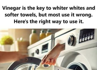 Vinegar: The Key to Whiter Whites and Softer Towels