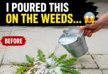Natural and Powerful Homemade Weed Control