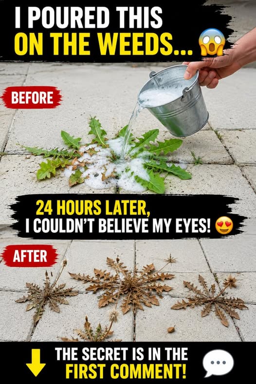 weed