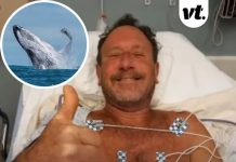 Man swallowed whole by humpback whale for 30 seconds revealed astonishing way he escaped