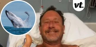 Man swallowed whole by humpback whale for 30 seconds revealed astonishing way he escaped