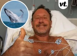 Man swallowed whole by humpback whale for 30 seconds revealed astonishing way he escaped