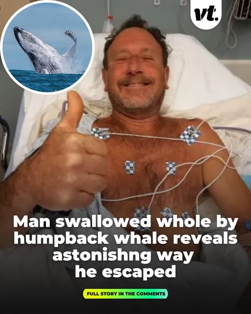 wha