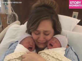 My Daughter Gave Up Her Newborn Twins at the Hospital – Then She Showed Up on My Doorstep at Dawn and Whispered Something That Changed Everything