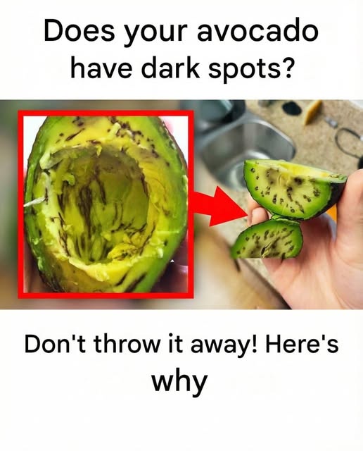 avocado