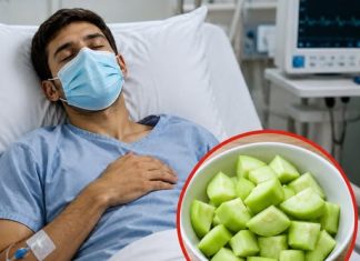 Doctors Warn: Bitter Vegetables May Contain Natural Toxins—What You Should Know