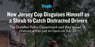 New Jersey Cop Disguises Himself as a Shrub to Catch Distracted Drivers