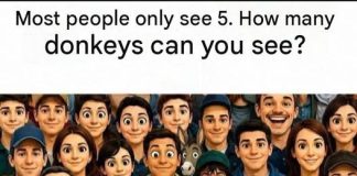 HOW MANY DONKEY CAN YOU SEE