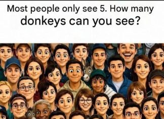 HOW MANY DONKEY CAN YOU SEE
