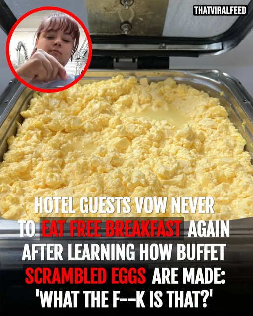 eggg