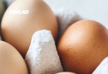 Everything you need to know as 1.5million eggs recalled across the US over Salmonella outbreak