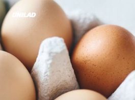 Everything you need to know as 1.5million eggs recalled across the US over Salmonella outbreak