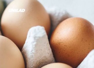 Everything you need to know as 1.5million eggs recalled across the US over Salmonella outbreak