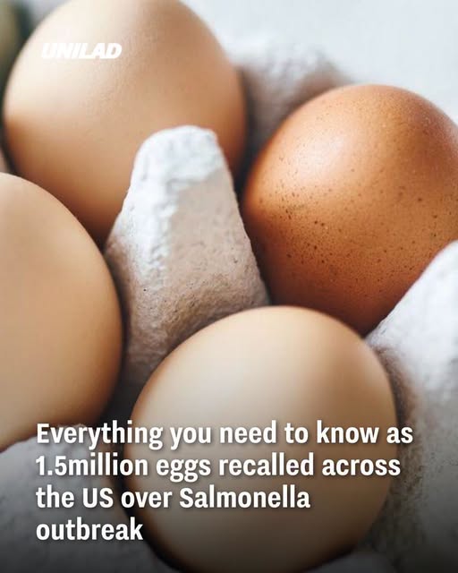 eggs