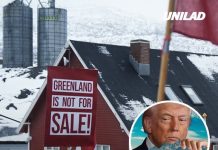 Greenland issues ‘strong warning’ as Trump-linked oil company lands on island without permission
