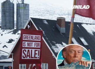 Greenland issues ‘strong warning’ as Trump-linked oil company lands on island without permission