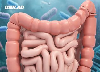 Scientists warn your gut bacteria could literally start ‘eating you’ if you don’t get enough fibre