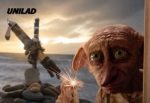 Harry Potter fans get $580m undersea cable rerouted after it came too close to Dobby’s ‘grave’
