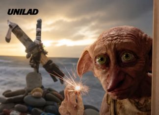 Harry Potter fans get $580m undersea cable rerouted after it came too close to Dobby’s ‘grave’