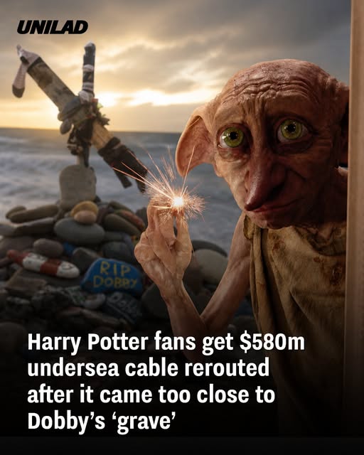 harry