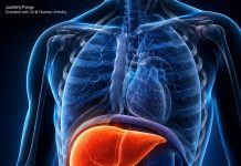 THE SCIENCE-BACKED DIET: 3 SIMPLE FRUITS THAT FIGHT FATTY LIVER, REGULATE SUGAR, AND LOWER CHOLESTEROL