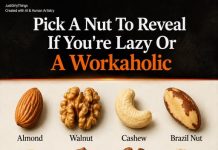 PICK A NUT, UNCOVER YOUR PERSONA: ARE YOU A WALNUT (THE HIDDEN WORKAHOLIC) OR THE OTHER EXTREME?