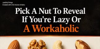 PICK A NUT, UNCOVER YOUR PERSONA: ARE YOU A WALNUT (THE HIDDEN WORKAHOLIC) OR THE OTHER EXTREME?