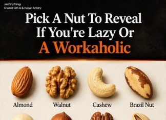 PICK A NUT, UNCOVER YOUR PERSONA: ARE YOU A WALNUT (THE HIDDEN WORKAHOLIC) OR THE OTHER EXTREME?