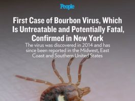 First Case of Bourbon Virus, Which Is Untreatable and Potentially Fatal, Confirmed in New York